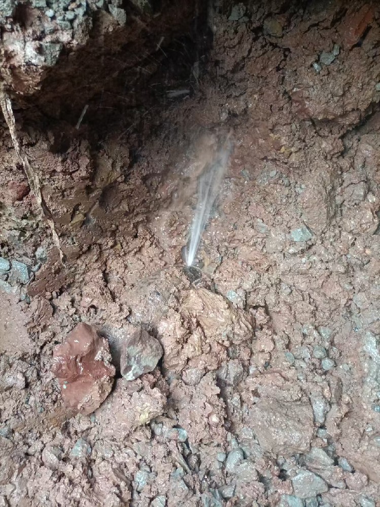 迎江区本地服务：自来水管漏水检测维修
